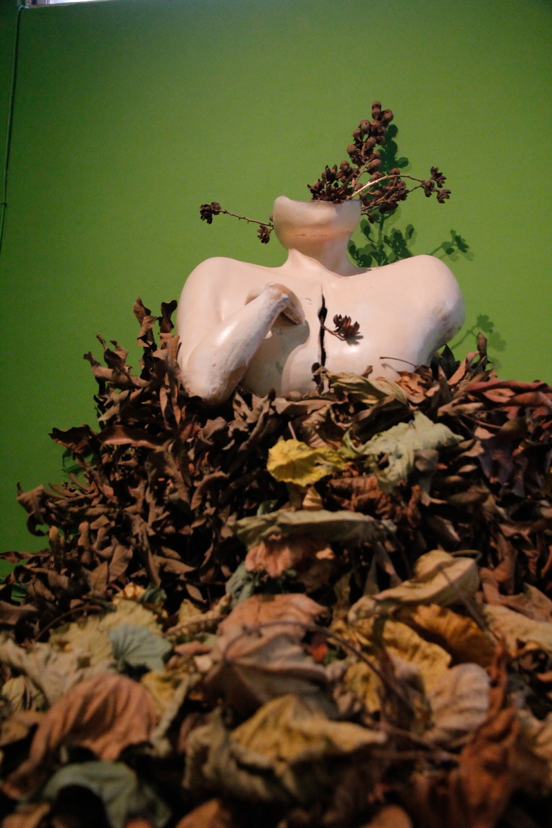 作品展覽圖片